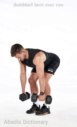 dumbbell bent over row